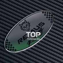 6226 Эмблема лого REMUS Racing 80x38