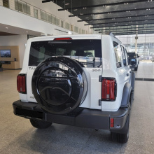 Защитный колпак Inline на запасное колесо - тюнинг Tank 300