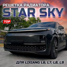Решетка Star Sky с сеткой-фильтром в передний бампер Lixiang