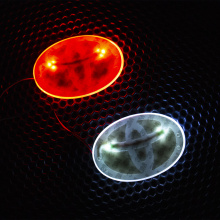 Светодиодная вставка под эмблему LED на Toyota (126х85 мм)