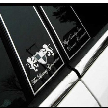 Стайлинг Хендай Велостер - накладки на центральные стойки - от ателье ArtX.