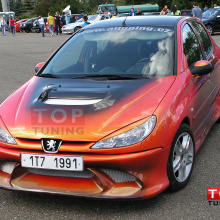 Обвес Crusader на Peugeot 206 1
