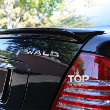 6253 Лип спойлер WALD на Mercedes S-Class W220