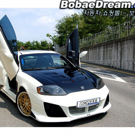 Обвес Warrior Mussa на Hyundai Tiburon Coupe GK