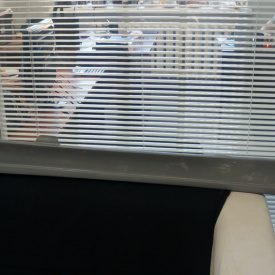 Пороги - Обвес Elixir на Toyota Altezza is200