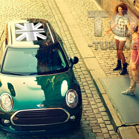 Пленка для стеклянной крыши MINI