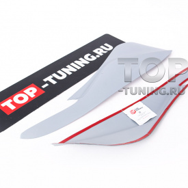 Реснички для Ford Kuga 1  