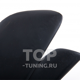 Реснички GT для BMW X3 G01