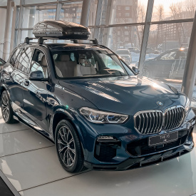 Пороги Renegade Light на BMW X5 G05