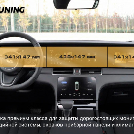 Защита для экрана основного дисплея Li One