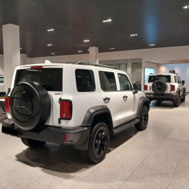 Чехол Inline (265/65 R17) для запасного колеса Tank 300