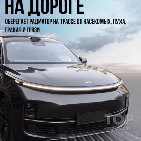 Решетка с защитной сеткой в бампер Lixiang (новая модель)