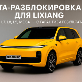 OTA разблокировка обновлений Li Auto (Lixiang)