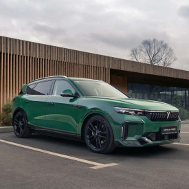 Доводчики дверей для Voyah Free