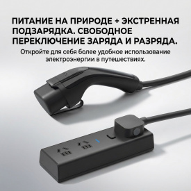 Оригинальная зарядка Lixiang + блок разрядки, 2 в 1, в розетку 220 В