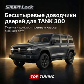 Бесштыревые доводчики дверей для TANK 300