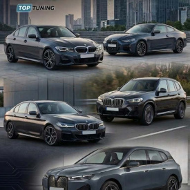 Доводчики задних дверей (2 шт.) — Тип A  для BMW (3 / 4 / 5 серии, X3. IX)