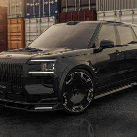 Вставки Renegade в передний бампер ZEEKR 9X