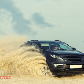 Решетка радиатора Bliss на Kia Sportage 3 (III)