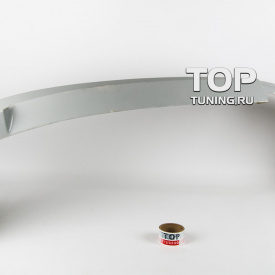 Задняя юбка - Обвес Chardge Speed на Honda Integra DC5