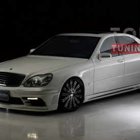 Боковые пороги  WALD Black Bison SHORT на Mercedes S-Class W220