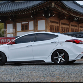 Накладки на задний бампер Zest на Hyundai Elantra 5 (Avante MD)