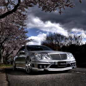 Передний бампер WALD Black Bison на Mercedes E-Class W211