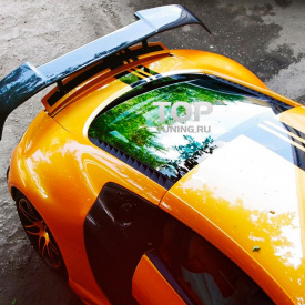Аэродинамический обвес GT на Audi R8