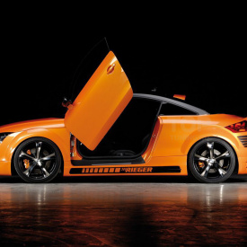 Обвес Rieger на Audi TT 8J