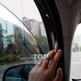 Дефлекторы на окна Well Visors Premium на Nissan Juke