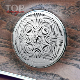 Декоративные сетки динамиков в двери Burmester 4 шт. на Mercedes