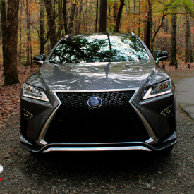 Решетка в передний бампер Vision F-SPORT на Lexus RX  4