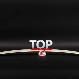 Козырек на заднее стекло AMG на Mercedes C-Class W204