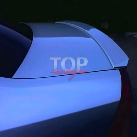 Спойлер A`PEX на Ford Focus 2