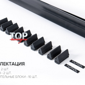 Пороги Barracuda на Kia Rio 4