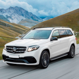 Доводчики дверей для Mercedes-Benz GLS X166