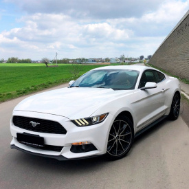 Доводчики дверей для Ford Mustang