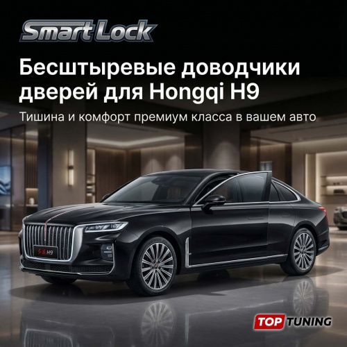 Бесштыревые доводчики дверей для Hongqi H9