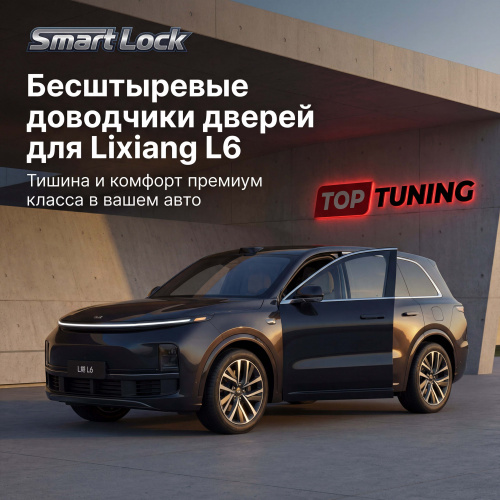 Бесштыревые доводчики дверей для Lixiang L6