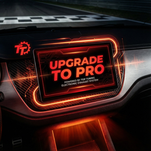 Лицензия THOR PRO (Максимальная)