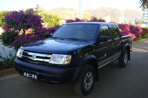 DongFeng Rich    