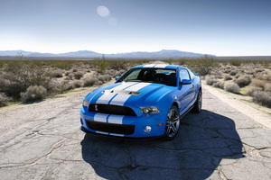 Ford Shelby    