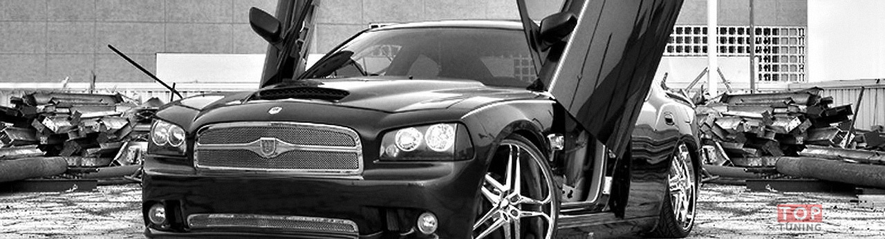 Ламбо петли универсальные - комплект с амортизаторами