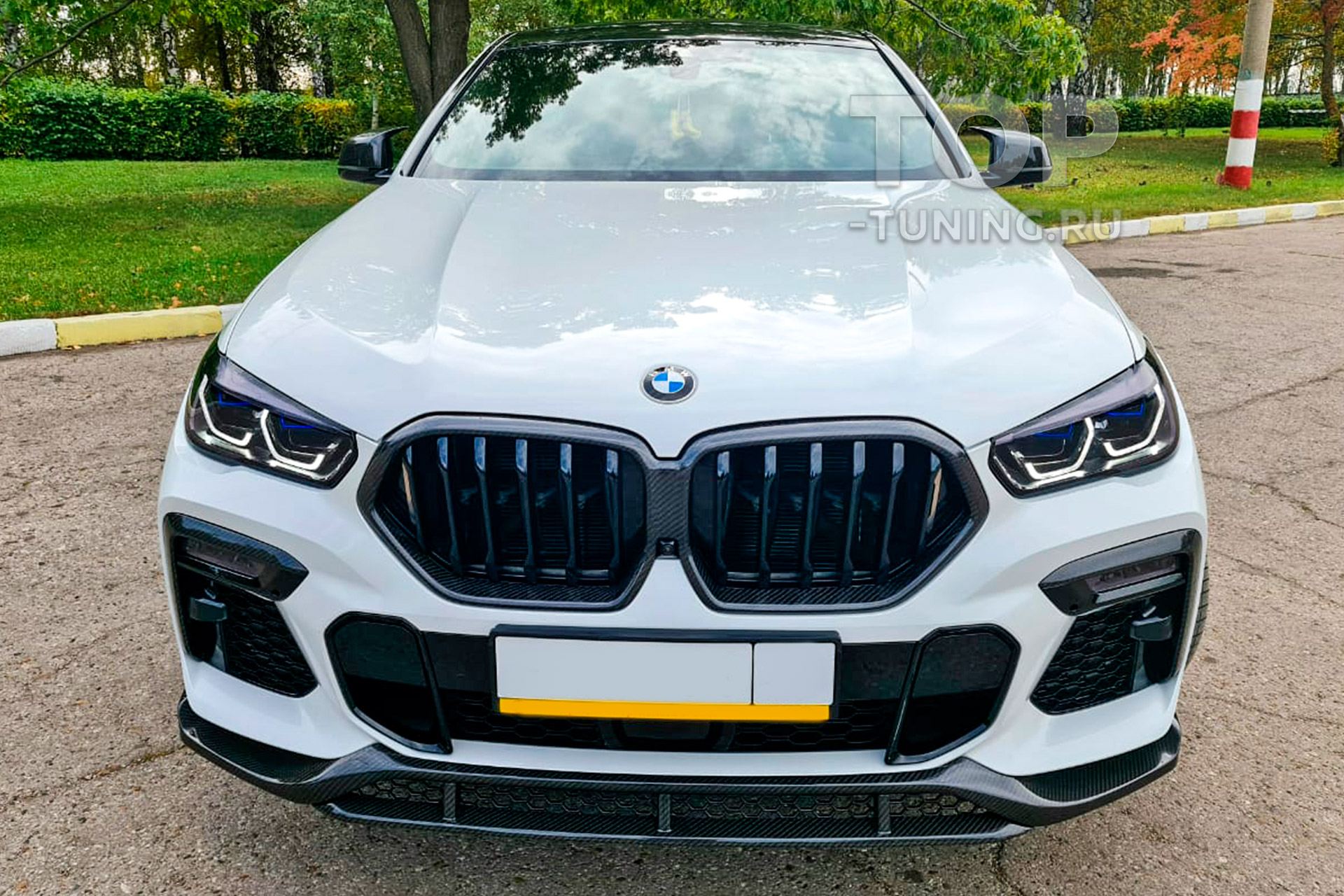 10828 Карбоновые накладки Renegade на передний бампер для BMW X6 G06