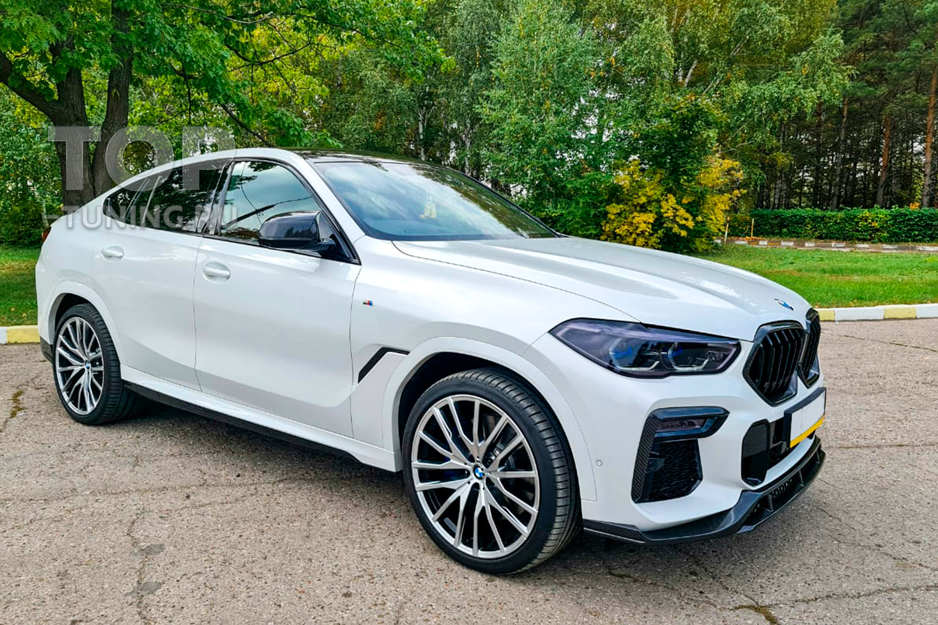 10836 Карбоновые пороги Renegade для BMW X6 G06