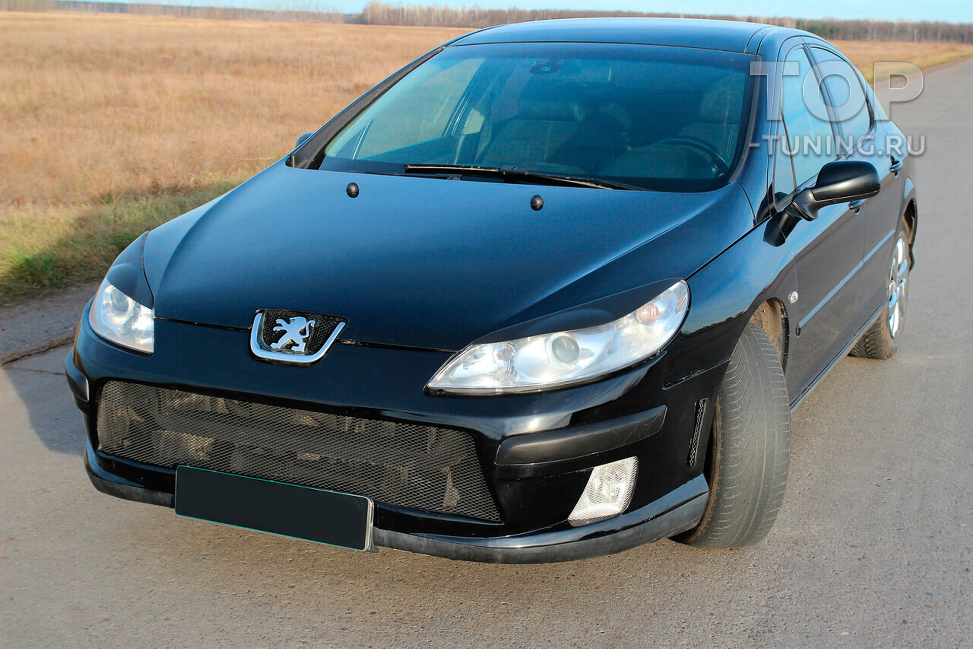 11560 Реснички Bastion на фары Peugeot 407