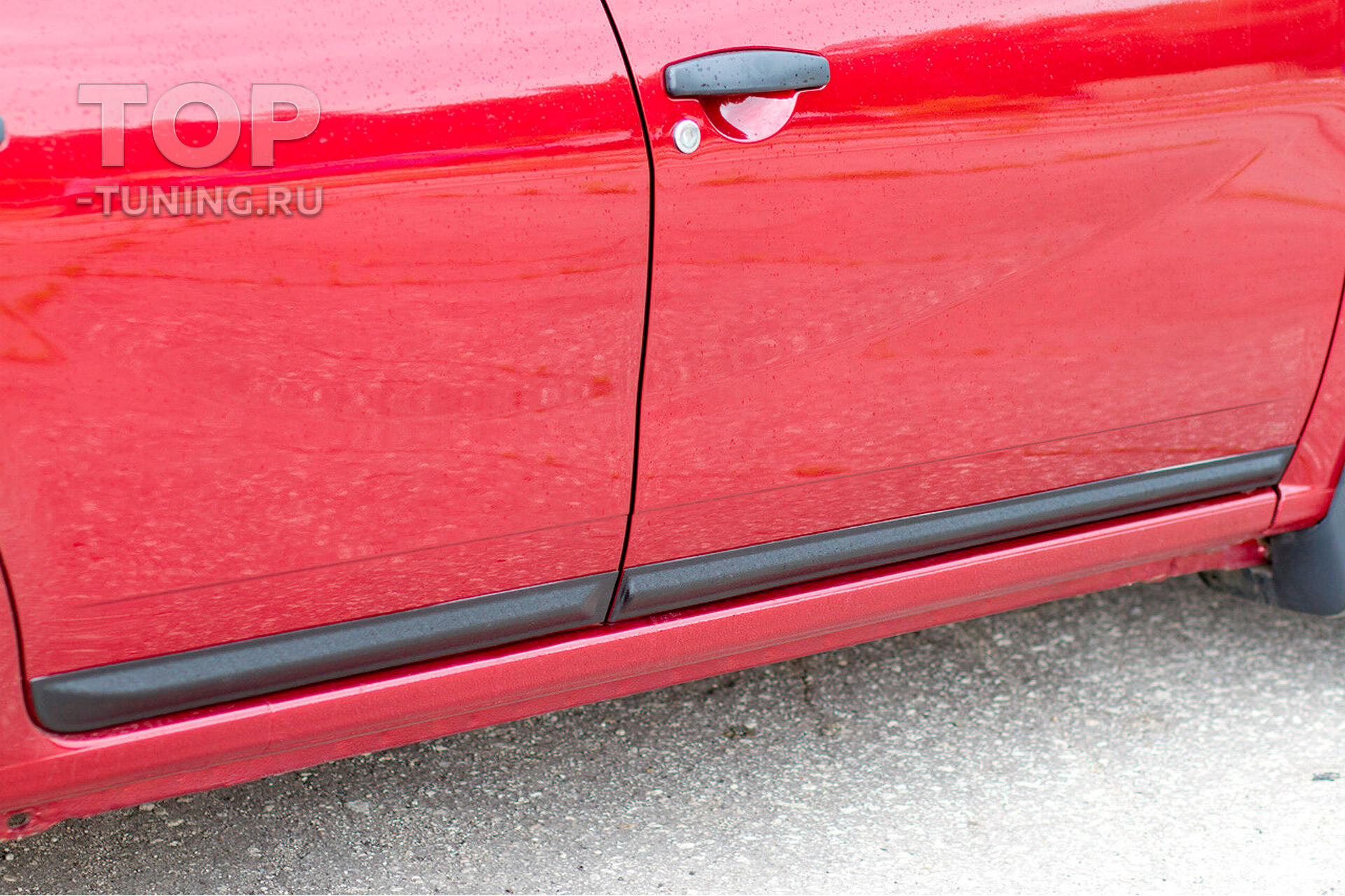 11575 Молдинги Bastion Lite на двери для Renault Sandero 1