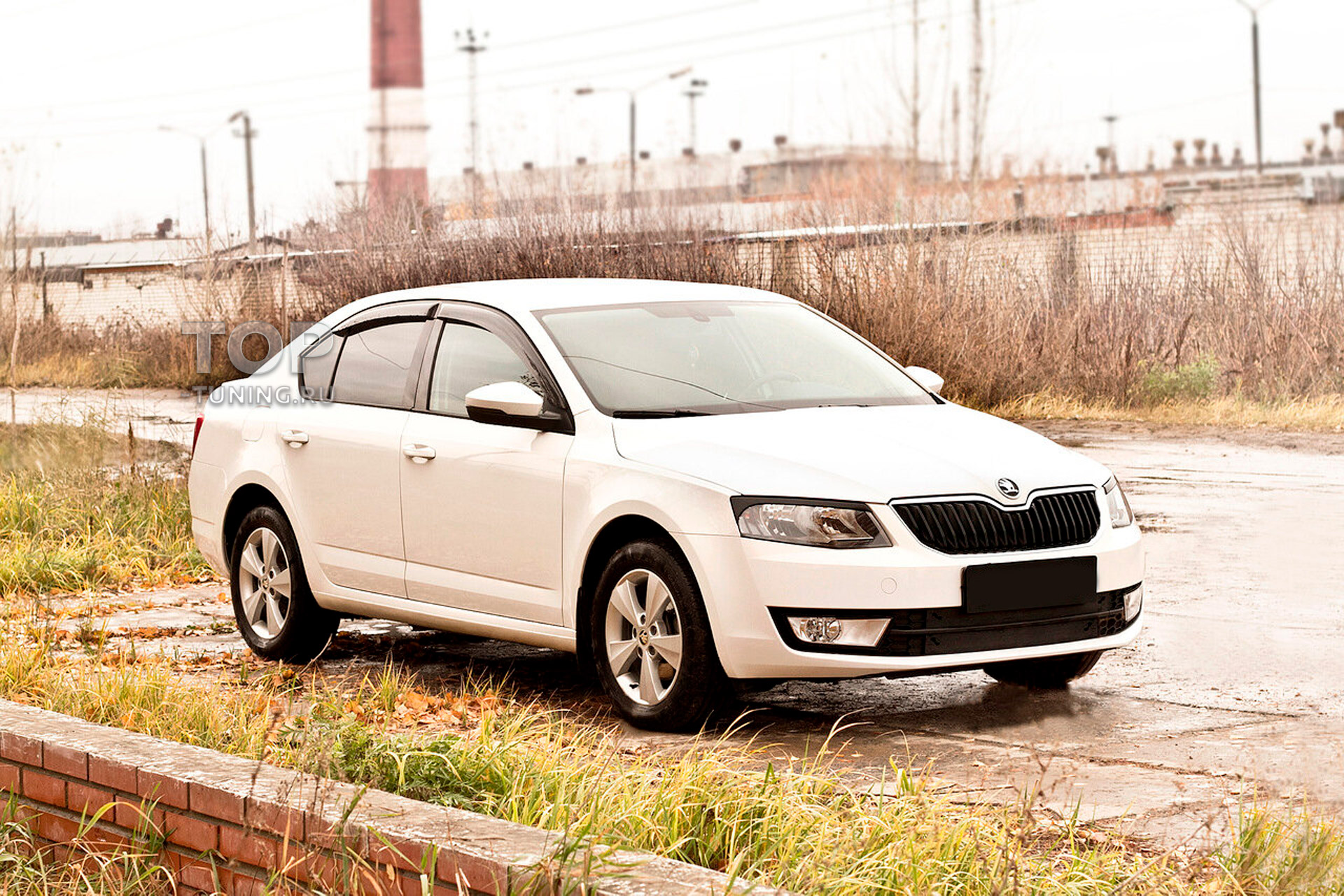 Накладки на передние фары (реснички) Skoda Octavia A7 2014-2017 (III дорестайлинг)