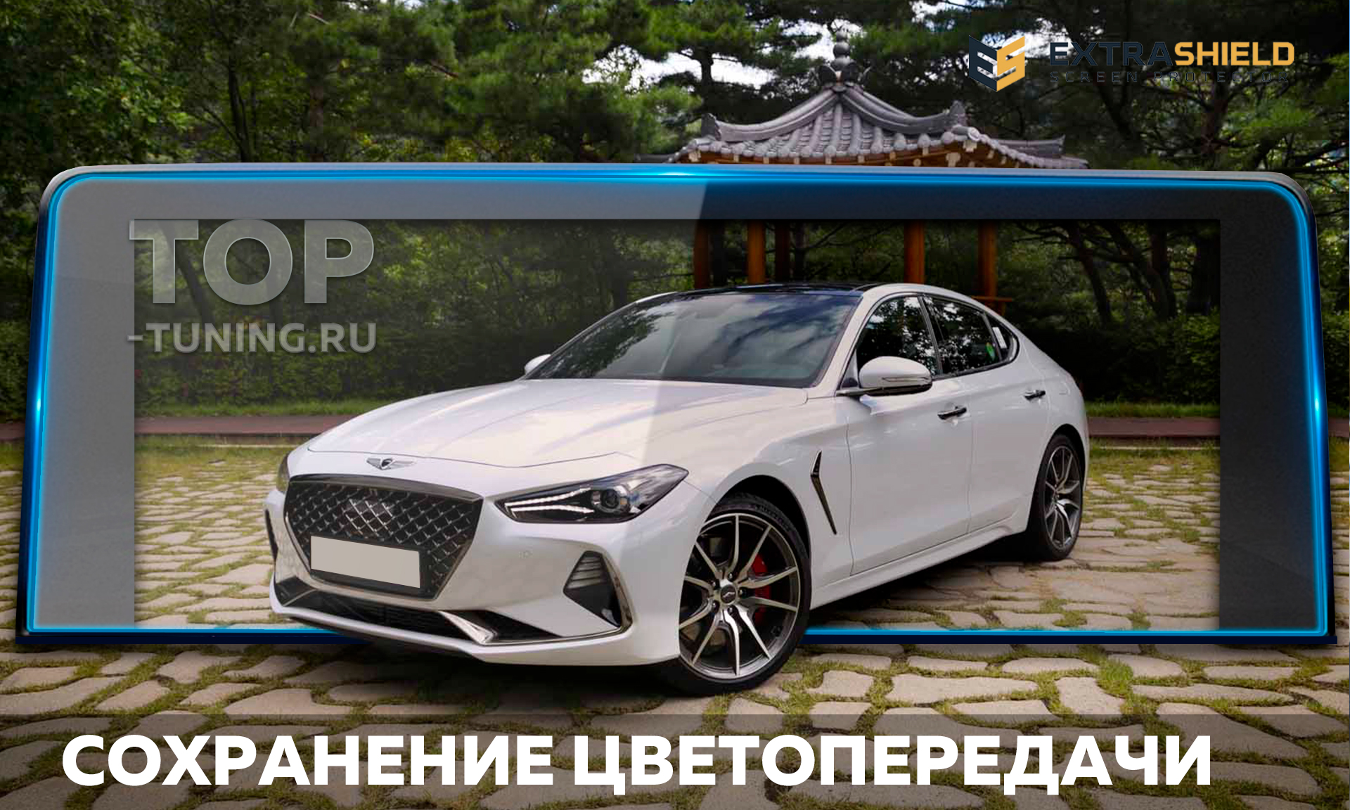 Защитная пленка Extra Shield для мониторов мультимедиа Генезис Г70