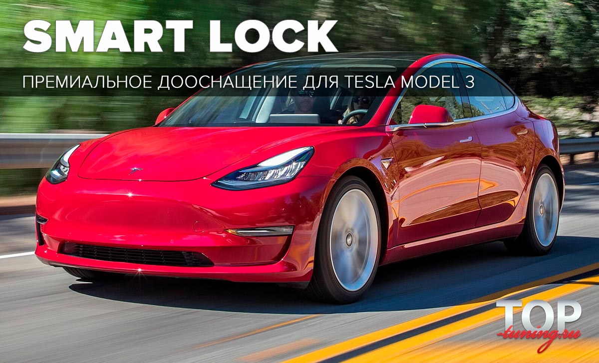 12014 Доводчики дверей для Tesla Model 3